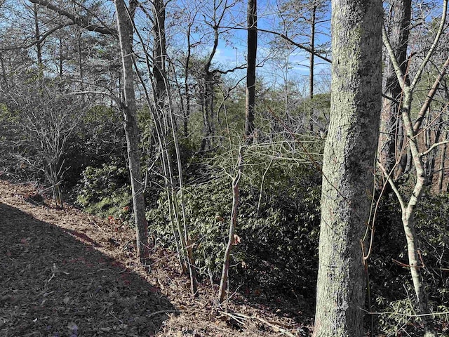 00 Caldonia Rd, Landrum, SC 29356 - photo 1