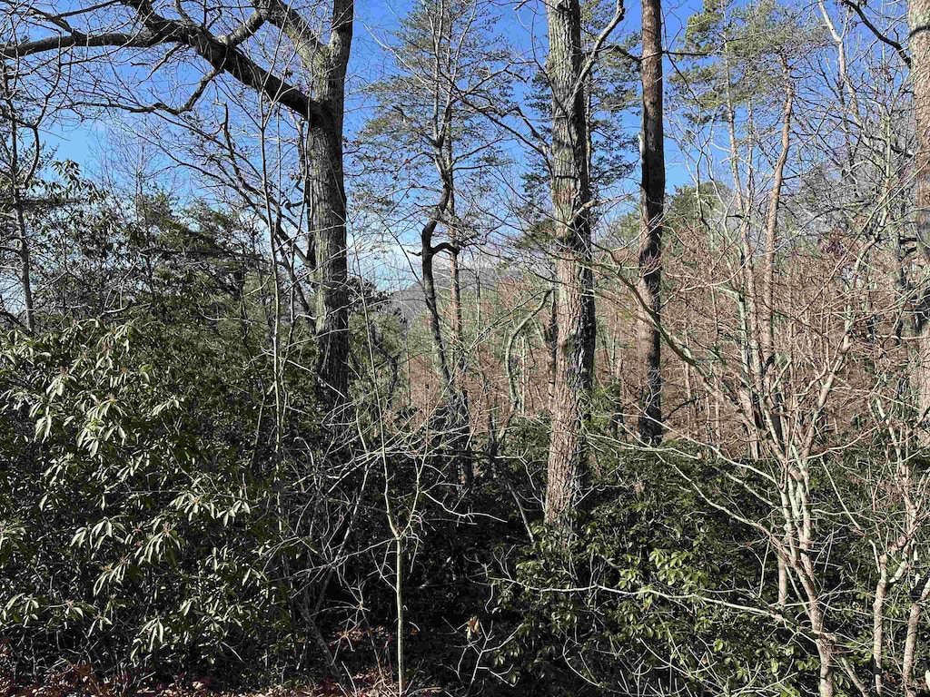 00 Caldonia Rd, Landrum, SC 29356 - photo 2