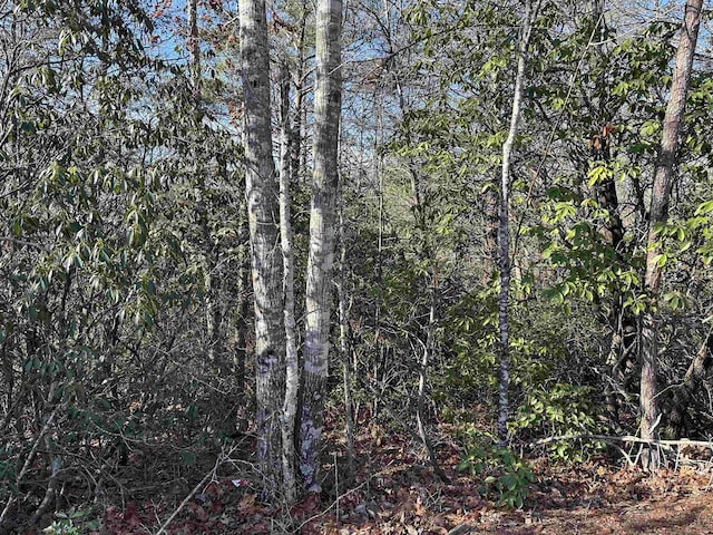 00 Caldonia Rd, Landrum, SC 29356 - photo 3