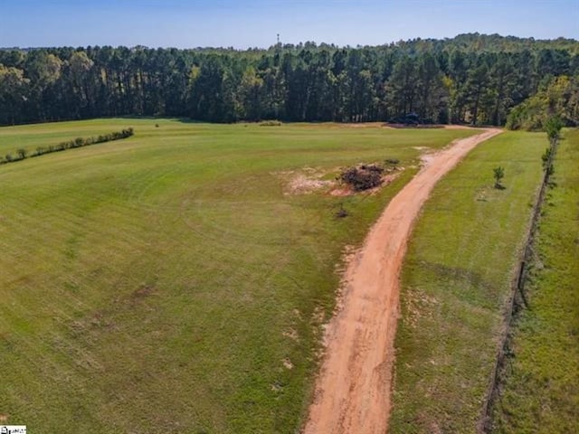 207 Lister Rd, Landrum, SC 29356 - photo 6