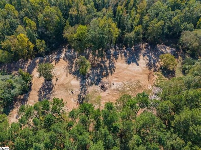 207 Lister Rd, Landrum, SC 29356 - photo 8