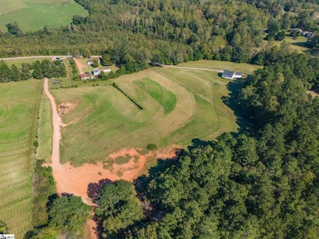 207 Lister Rd, Landrum, SC 29356 - photo 9