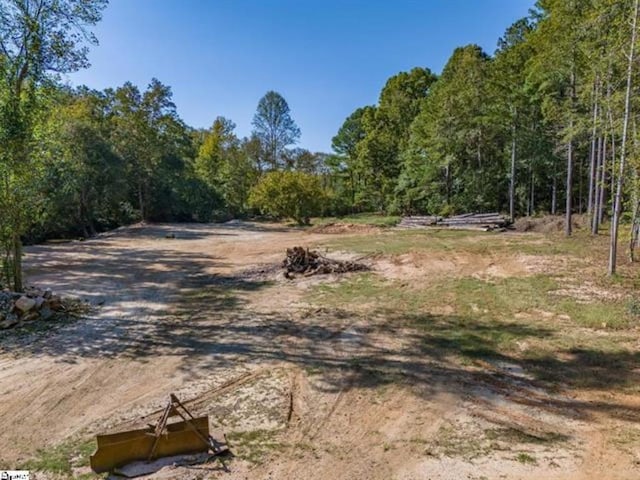 207 Lister Rd, Landrum, SC 29356 - photo 10