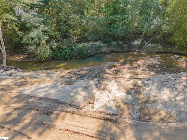 207 Lister Rd, Landrum, SC 29356 - photo 11