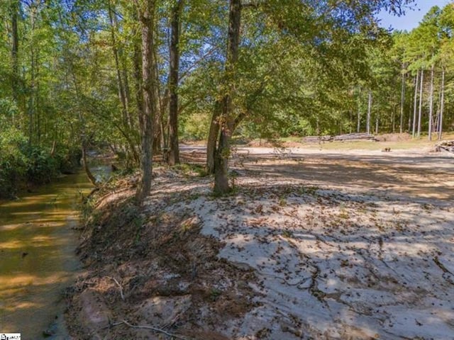 207 Lister Rd, Landrum, SC 29356 - photo 12