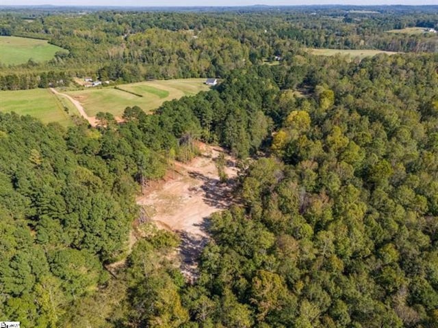 207 Lister Rd, Landrum, SC 29356 - photo 13