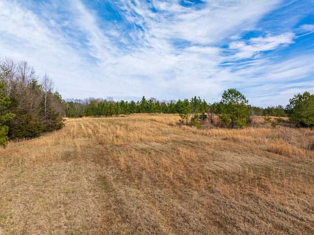 0 Hemlock Rd, Gaffney, SC 29340 - photo 31