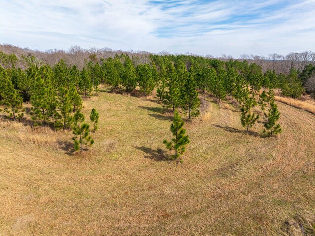0 Hemlock Rd, Gaffney, SC 29340 - photo 32