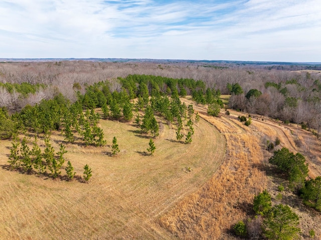 0 Hemlock Rd, Gaffney, SC 29340 - photo 33