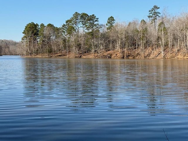 0 Hemlock Rd, Gaffney, SC 29340 - photo 10