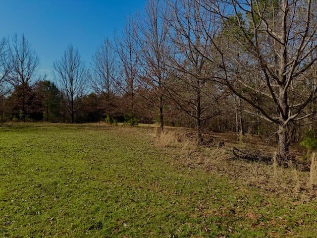0 Hemlock Rd, Gaffney, SC 29340 - photo 8