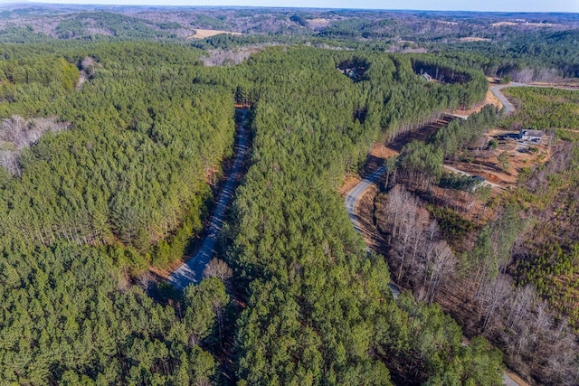0 Destiny Dr, Lot Mill Spring, NC 28756 - photo 4