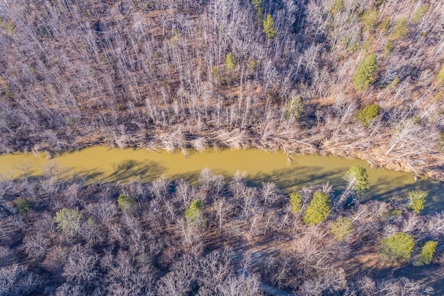 0 Destiny Dr, Lot Mill Spring, NC 28756 - photo 5