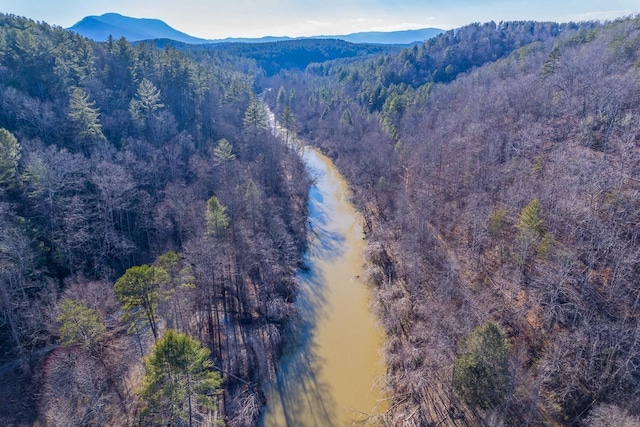 0 Destiny Dr, Lot Mill Spring, NC 28756 - photo 1