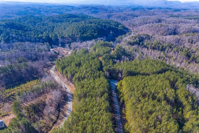 0 Destiny Dr, Lot Mill Spring, NC 28756 - photo 7