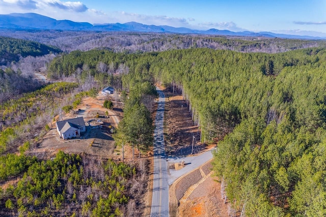 0 Destiny Dr, Lot Mill Spring, NC 28756 - photo 8