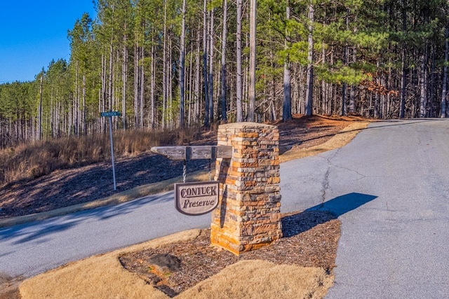 0 Destiny Dr, Lot Mill Spring, NC 28756 - photo 10
