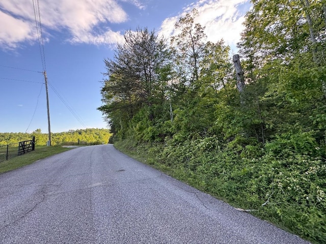 000 Trammell Rd, Travelers Rest, SC 29690 - photo 2