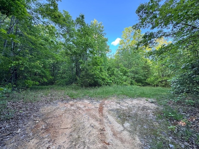 000 Trammell Rd, Travelers Rest, SC 29690 - photo 3