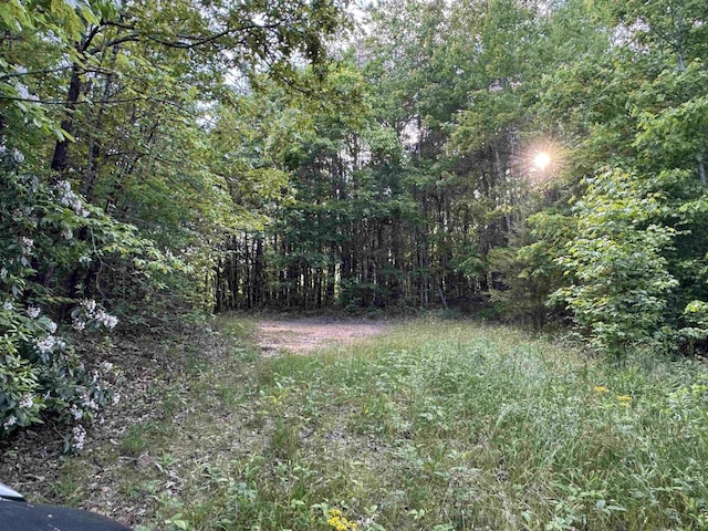 000 Trammell Rd, Travelers Rest, SC 29690 - photo 5