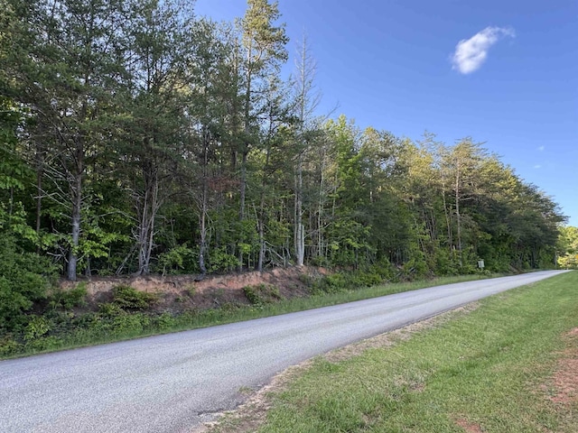 000 Trammell Rd, Travelers Rest, SC 29690 - photo 1