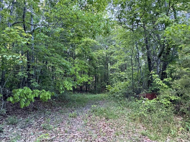 000 Trammell Rd, Travelers Rest, SC 29690 - photo 6