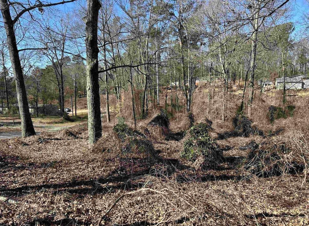 00 Wynette Way, Inman, SC 29349
