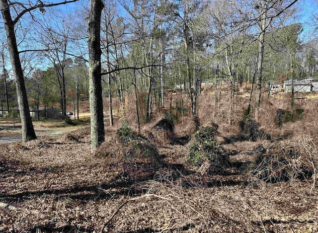 00 Wynette Way, Inman, SC 29349