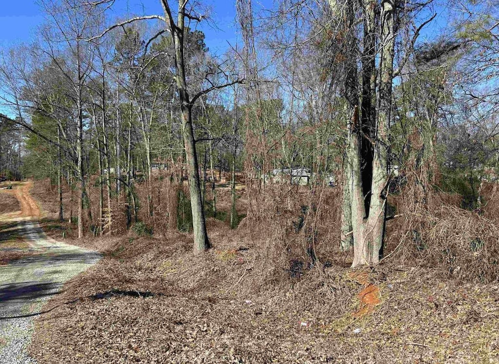 00 Wynette Way, Inman, SC 29349