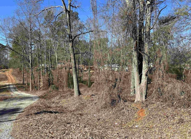 00 Wynette Way, Inman, SC 29349