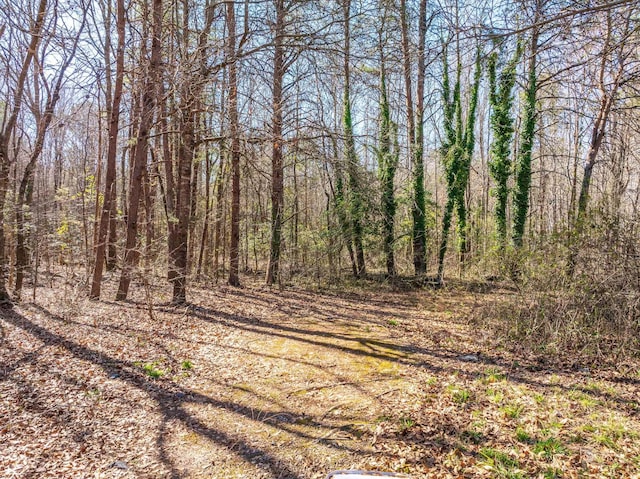 0 Brown Sanders Rd, Spartanburg, SC 29307 - photo 2