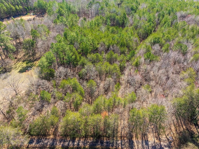 0 Brown Sanders Rd, Spartanburg, SC 29307 - photo 6