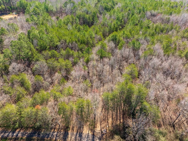 0 Brown Sanders Rd, Spartanburg, SC 29307 - photo 7