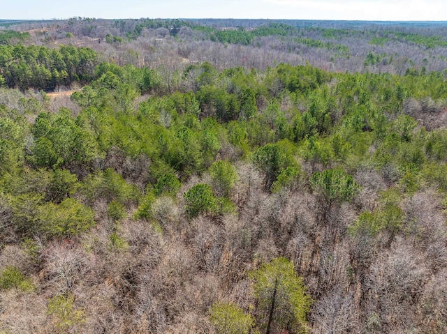 0 Brown Sanders Rd, Spartanburg, SC 29307 - photo 8