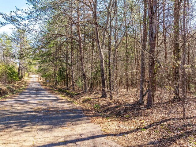 0 Brown Sanders Rd, Spartanburg, SC 29307 - photo 1