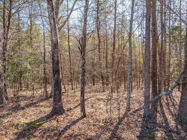 0 Brown Sanders Rd, Spartanburg, SC 29307 - photo 10