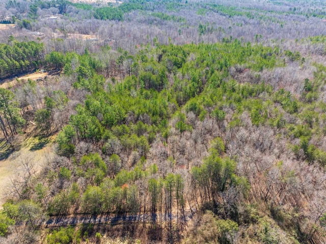 0 Brown Sanders Rd, Spartanburg, SC 29307 - photo 11