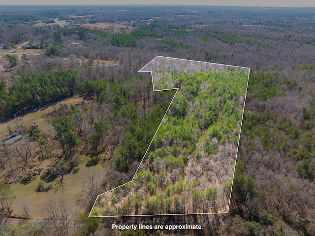 0 Brown Sanders Rd, Spartanburg, SC 29307 - photo 16
