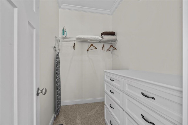 3664 River Rd, Union, SC 29379 - spacious closet with light carpet