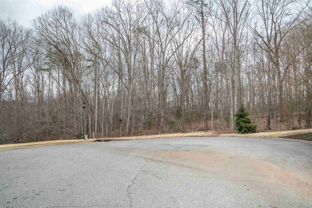 799 E Long Bay Dr, Inman, SC 29349 - photo 3