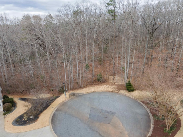 799 E Long Bay Dr, Inman, SC 29349 - photo 4