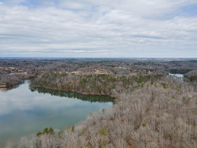 799 E Long Bay Dr, Inman, SC 29349 - photo 9