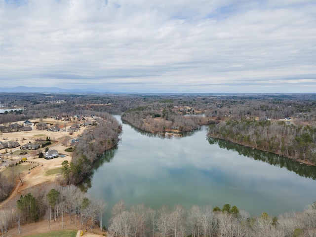 799 E Long Bay Dr, Inman, SC 29349 - photo 10