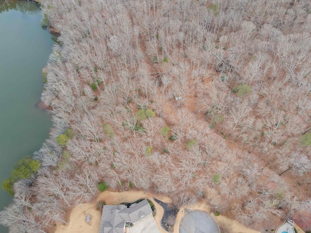 799 E Long Bay Dr, Inman, SC 29349 - photo 12
