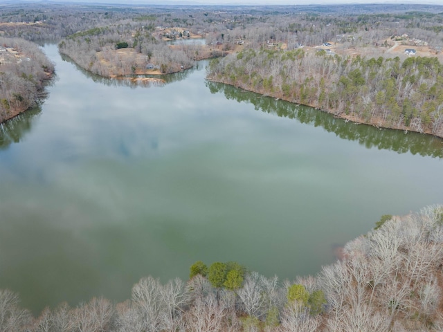 799 E Long Bay Dr, Inman, SC 29349 - photo 14