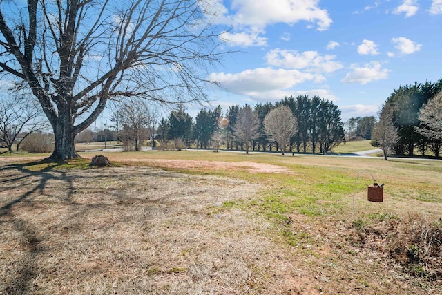 1953 Big Island Rd, Rutherfordton, NC 28139 - photo 13