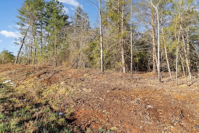 3920 Moore Duncan Hwy, Moore, SC 29369 - photo 6