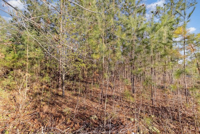 3920 Moore Duncan Hwy, Moore, SC 29369 - photo 8