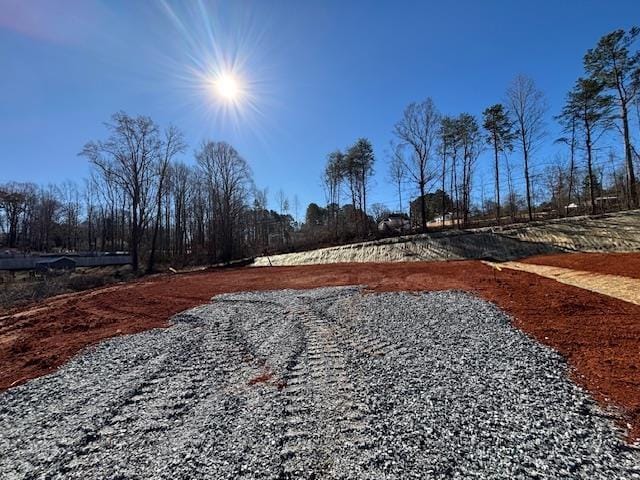 825AND835 Campobello Gramling School Rd, Campobello, SC 29322 - photo 4