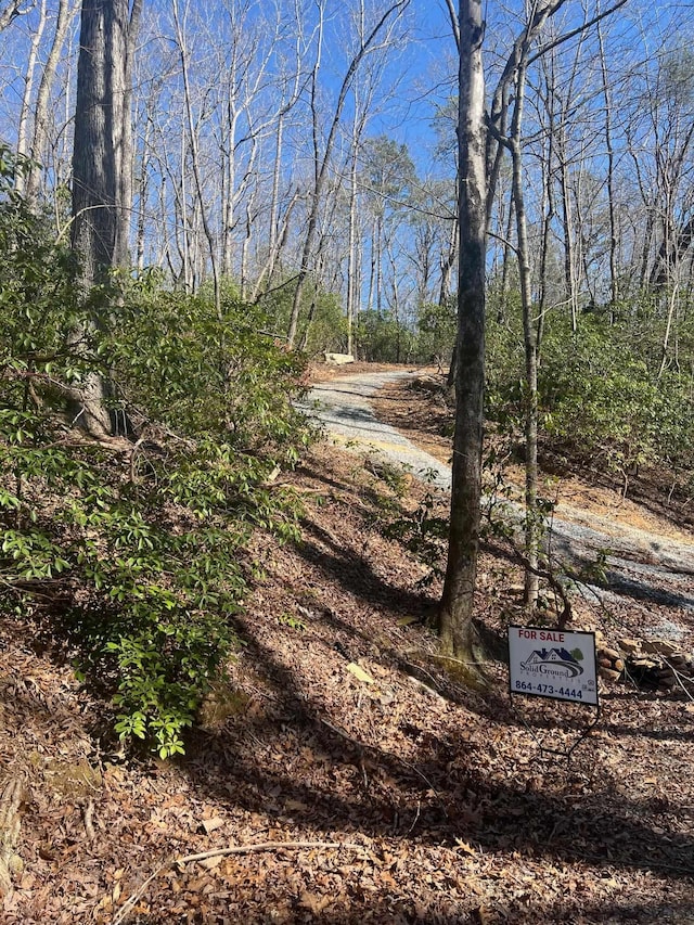 0000 E Lakeshore Dr, Landrum, SC 29356 - photo 2